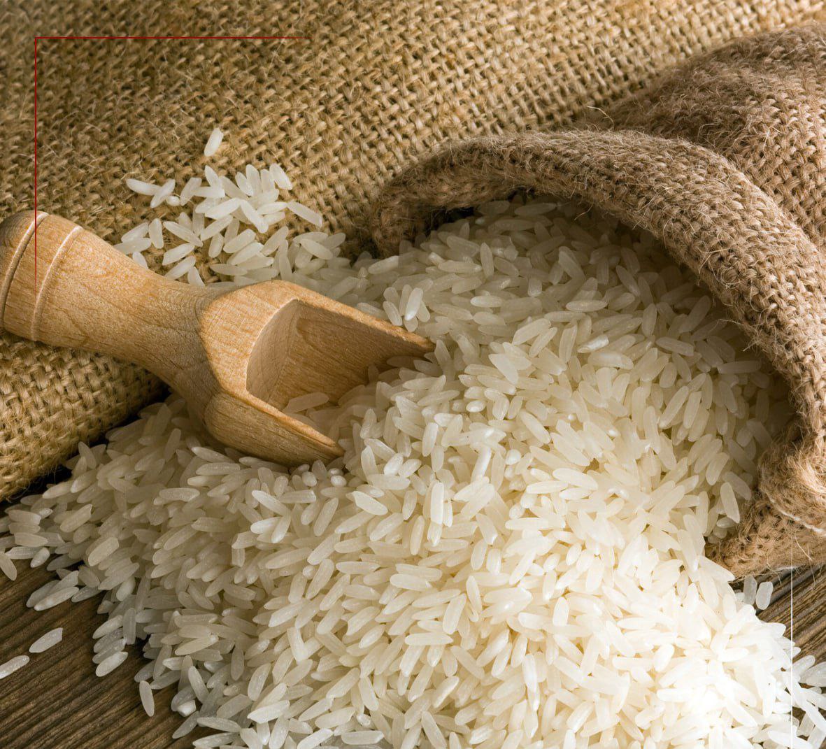 وزیر دادگستری: برنج وارداتی به دست مردم نمی‌رسد