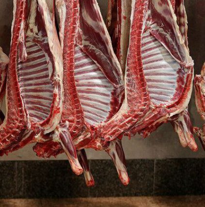 توزیع گوشت وارداتی با قیمت زیر ۷۰۰ هزار تومان از هفته آینده