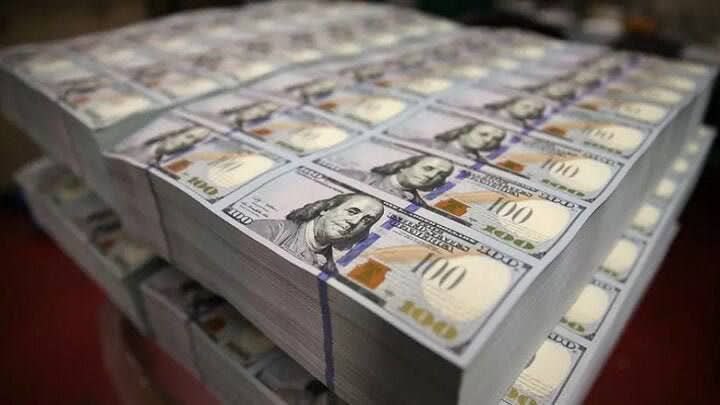 شرکت پشتیبانی امور دام: توزیع نهاده‌های دامی تا پایان سال بدون تغییر قیمت باقی می‌ماند