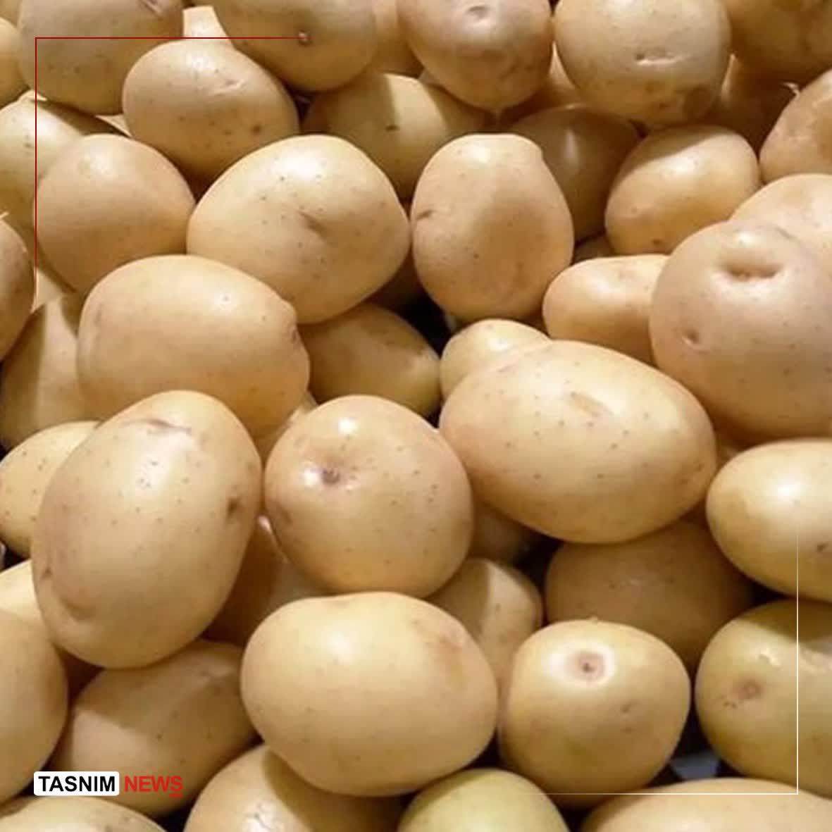تشکیل پرونده قضایی برای گران فروشی سیب‌زمینی