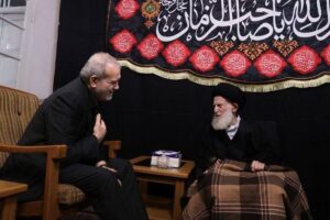 آیت‌الله شبیری زنجانی خطاب به پزشکیان: طرح سخنان ناصحیح و بی‌انصافی‌ها گذراست